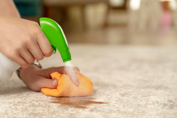 Как помыть ковролин в домашних условиях